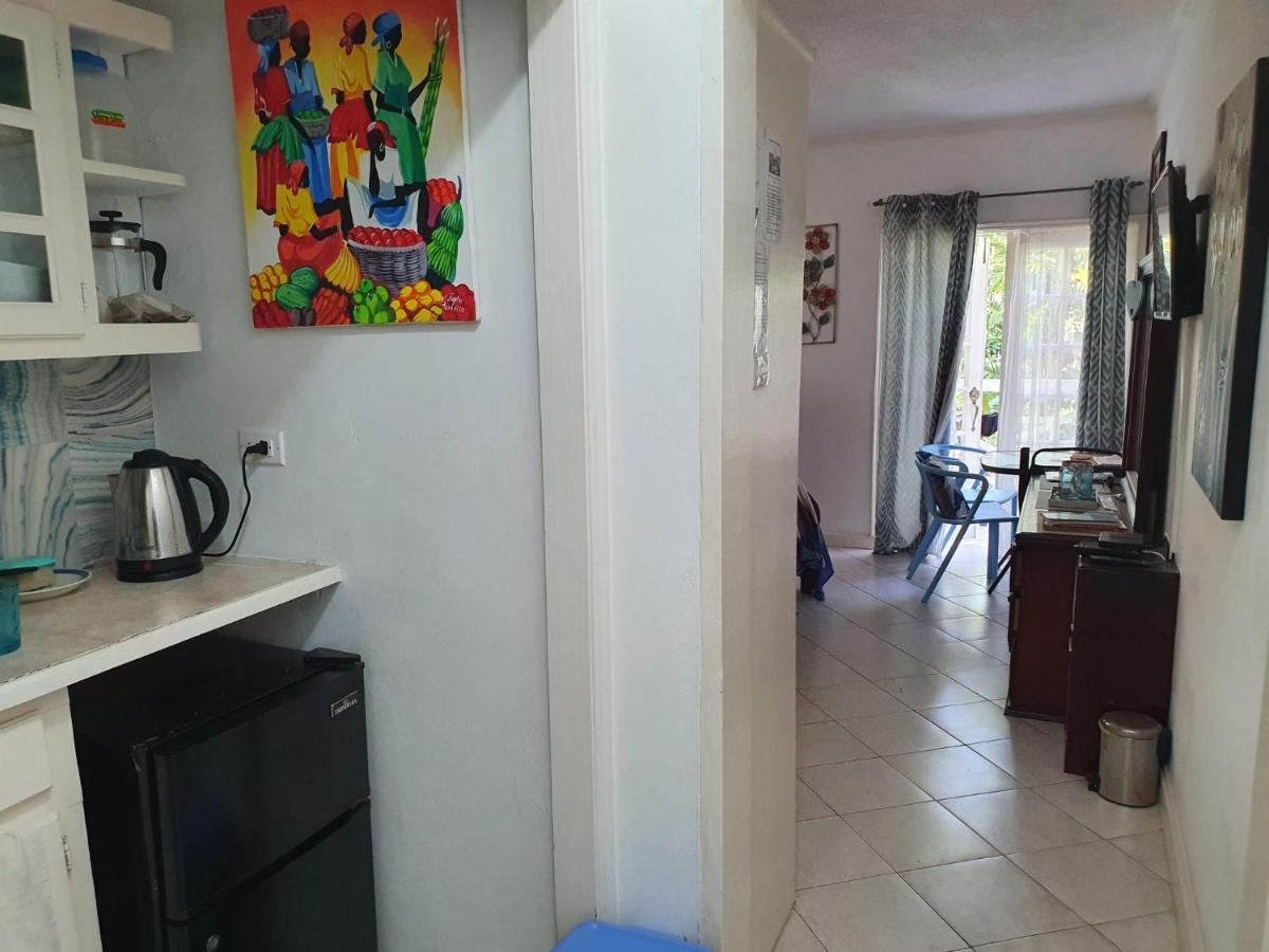 Studio19 At Mystic Ridge Apartman Ocho Rios Kültér fotó