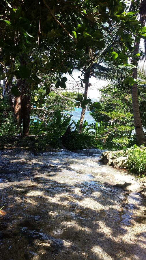 Studio19 At Mystic Ridge Apartman Ocho Rios Kültér fotó